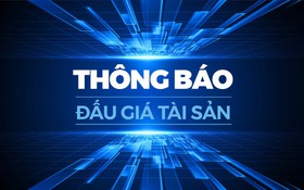Thông báo đấu giá tài sản và Quy chế cuộc đấu giá tài sản là quyền sử dụng tần số vô tuyến điện đối với băng tần 900-915 MHz và 945-960 MHz