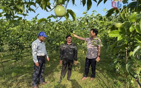 Làm nông thời 4.0