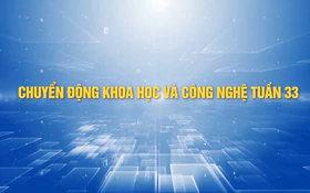Chuyển động Khoa học và Công nghệ tuần 33