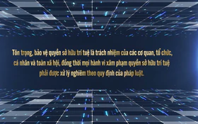 Thí điểm định giá ít nhất 100 quyền sở hữu trí tuệ