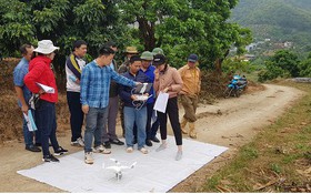 Ứng dụng UAV theo dõi sức khỏe cây xoài, nhãn tại Sơn La