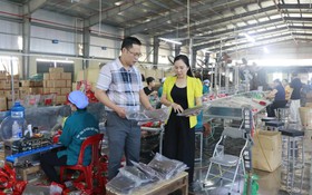 Khoa học và công nghệ nâng tầm giá trị miến dong từ tinh chất trà xanh Thái Nguyên