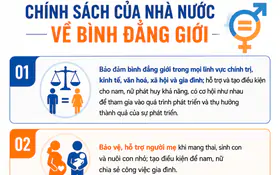 Chính sách của Nhà nước về bình đẳng giới