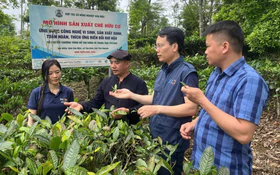 Khoa học, công nghệ nâng giá trị sản phẩm OCOP vùng cao Thái Nguyên