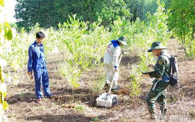 Công nghệ hỗ trợ tìm kiếm, xác định danh tính hài cốt liệt sĩ