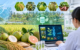Công nghệ sinh học nâng hiệu quả sản xuất nông nghiệp Vĩnh Long