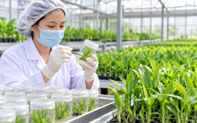 Công nghệ sinh học nâng giá trị sản xuất nông nghiệp Bắc Ninh
