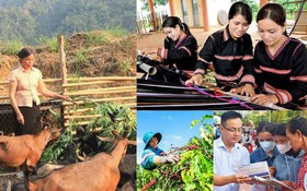 KH&CN mở đường nâng giá trị sinh kế vùng dân tộc thiểu số Vĩnh Long