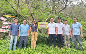 Kiểm tra 3 nhiệm vụ khoa học và công nghệ trong lĩnh vực nông nghiệp