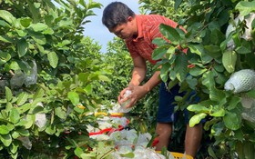 Bắc Ninh: KH&CN tạo đòn bẩy phát triển nông thôn, miền núi