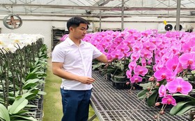 Ứng dụng công nghệ, nâng giá trị hoa ngoại thành Hà Nội