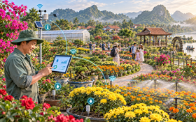 KH&CN “đánh thức” tiềm năng hoa, cây cảnh Hưng Yên