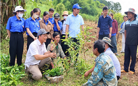 Quảng Ngãi đổi mới cách làm, nâng hiệu quả phát triển vùng đồng bào dân tộc thiểu số
