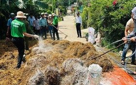 Biến phế phụ phẩm nông nghiệp thành nguồn phân bón tại chỗ