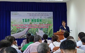 Từ ruộng vườn đến thị trường số