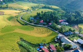 Điện Biên: Chương trình 1719 tạo động lực mới cho vùng cao phát triển bền vững