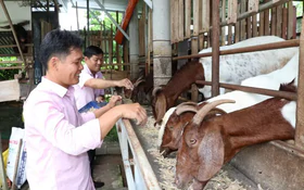 Vĩnh Long: Đưa vốn tới tận cơ sở, tiếp sức phát triển sản xuất