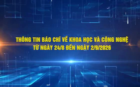 Điểm báo Khoa học và Công nghệ từ ngày 24/8 đến 2/9/2026