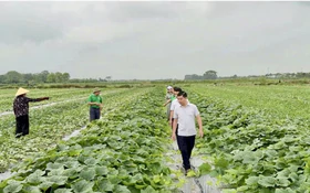 Lào Cai tăng tốc xóa lõm sóng, giảm nghèo thông tin vùng cao
