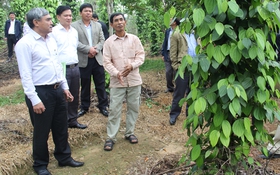 Phú Định: Phấn đấu hoàn thành các tiêu chí thuộc chương trình MTQG xây dựng nông thôn mới và giảm nghèo bền vững