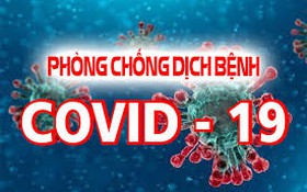 Quảng Nam triển khai ứng dụng Bluezone trong phòng, chống dịch bệnh Covid-19