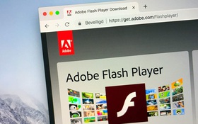 Adobe và lỗ hổng thực thi mã nguy cấp trong Flash Player