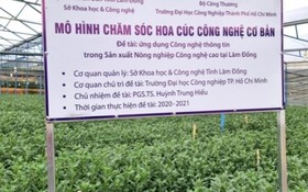 Ứng dụng công nghệ thông tin trong sản xuất nông nghiệp tại Lâm Đồng