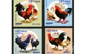 Bộ TT&TT sắp phát hành bộ tem bưu chính “Gà bản địa Việt Nam"