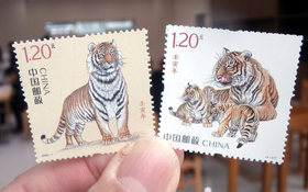 Muôn vẻ đẹp tem bưu chính chào năm Nhâm Dần trên khắp thế giới