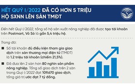 INFOGRAPHIC: Hết quý I/2022 đã có hơn 5 triệu hộ sản xuất nông nghiệp lên sàn Postmart, Vỏ Sò