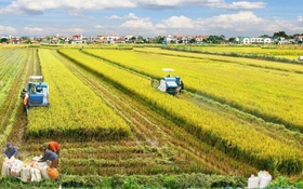 Tương lai của công nghệ nông nghiệp Đông Nam Á trong kỷ nguyên số