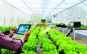 Phú Thọ: Chuyển đổi số nông nghiệp gắn với thương mại điện tử