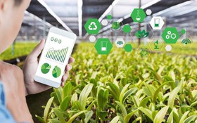 Đẩy mạnh ứng dụng CNTT thu thập thông tin, dự báo thị trường nông sản