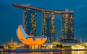 Singapore, Ấn Độ phát triển dịch vụ chính phủ số "bằng trái tim"