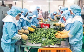 Lần đầu tiên nông sản Việt được rao bán trên sàn thương mại điện tử Trung Quốc, tiếp cận 780 triệu người mua tiềm năng