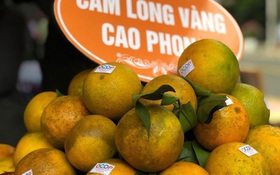 “Săn” cam Cao Phong chính hiệu trên sàn Postmart
