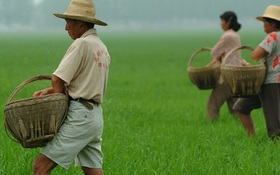 Trung Quốc đặt mục tiêu hiện đại hóa nông nghiệp vào năm 2035