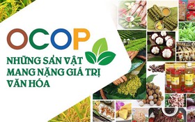 Công nhận gần 600 sản phẩm đạt chuẩn OCOP 2021