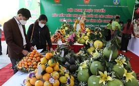 Bắc Giang: Đơn giản hóa công nghệ trong nông nghiệp để nông dân làm chủ
