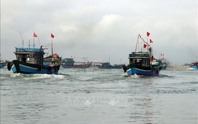 Ngư dân Thừa Thiên - Huế xuất quân vươn khơi đầu Xuân