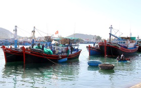 Khai thác hải sản Ninh Thuận vượt kế hoạch