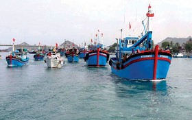 Khắc phục 'thẻ vàng' IUU: Phú Yên không có tàu cá vi phạm nhờ tuyên truyền tốt