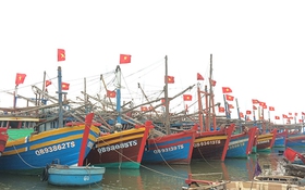 Quảng Bình hỗ trợ kinh phí hơn 29 tỷ đồng cho các tàu cá tiếp tục vươn khơi bám biển