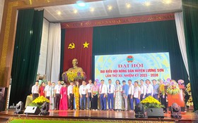 Đại hội Hội Nông dân huyện Lương Sơn: 5 năm qua, nông dân đóng góp 2,5 tỷ xây dựng nông thôn mới