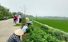 Dân Việt thông tin về tam nông và xây dựng nông thôn mới tại TP.HCM ngày càng phong phú, đa chiều