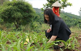 Nữ Nông dân Việt Nam xuất sắc 2023 ở Lâm Đồng làm gì mà thu hàng chục tỷ/năm?