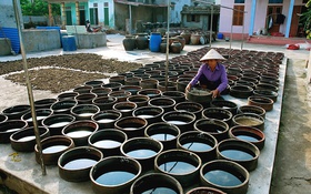 Một thứ nước chấm quốc hồn quốc túy ở Nam Định được chọn vào Top 100 đặc sản quà tặng Việt Nam