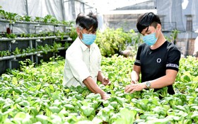 TP.HCM đào tạo hơn 9.000 nông dân chuyên nghiệp đáp ứng yêu cầu kinh tế - xã hội mới