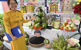 Bình Định: Tiếp tục đẩy mạnh hỗ trợ đưa sản phẩm OCOP lên sàn Postmart.vn