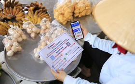 Bà Rịa - Vũng Tàu: Hội nghị giải pháp thúc đẩy chuyển đổi số trong doanh nghiệp nhỏ và vừa năm 2023